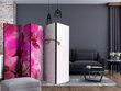 Ruumijaotur - Pink Orchid II [Room Dividers] hind ja info | Sirmid ja vaheseinad | hansapost.ee