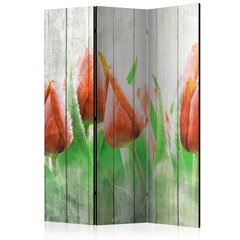 Ruumijaotur - Red tulips on wood [Room Dividers] hind ja info | Sirmid ja vaheseinad | hansapost.ee