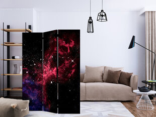 Ruumijaotur - space - stars [Room Dividers] hind ja info | Sirmid ja vaheseinad | hansapost.ee