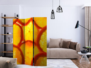 Ruumijaotur - Orange slices [Room Dividers] hind ja info | Sirmid ja vaheseinad | hansapost.ee