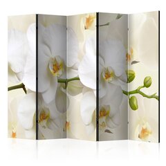 Ruumijaotur - Orchid Branch II [Room Dividers] hind ja info | Sirmid ja vaheseinad | hansapost.ee