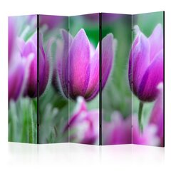 Ruumijaotur - Purple spring tulips II [Room Dividers] hind ja info | Sirmid ja vaheseinad | hansapost.ee