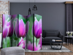 Ruumijaotur - Purple spring tulips II [Room Dividers] hind ja info | Sirmid ja vaheseinad | hansapost.ee