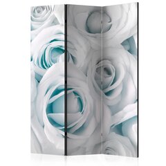 Ruumijaotur - Satin Rose (Turquoise) [Room Dividers] hind ja info | Sirmid ja vaheseinad | hansapost.ee