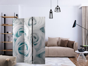 Ruumijaotur - Satin Rose (Turquoise) [Room Dividers] hind ja info | Sirmid ja vaheseinad | hansapost.ee