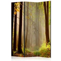 Ruumijaotur - Mysterious forest path [Room Dividers] hind ja info | Sirmid ja vaheseinad | hansapost.ee