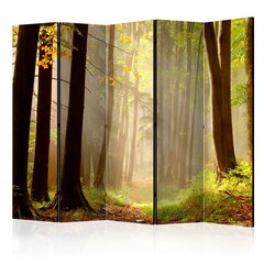 Ширма Mysterious forest path цена и информация | Мобильные стенки | hansapost.ee