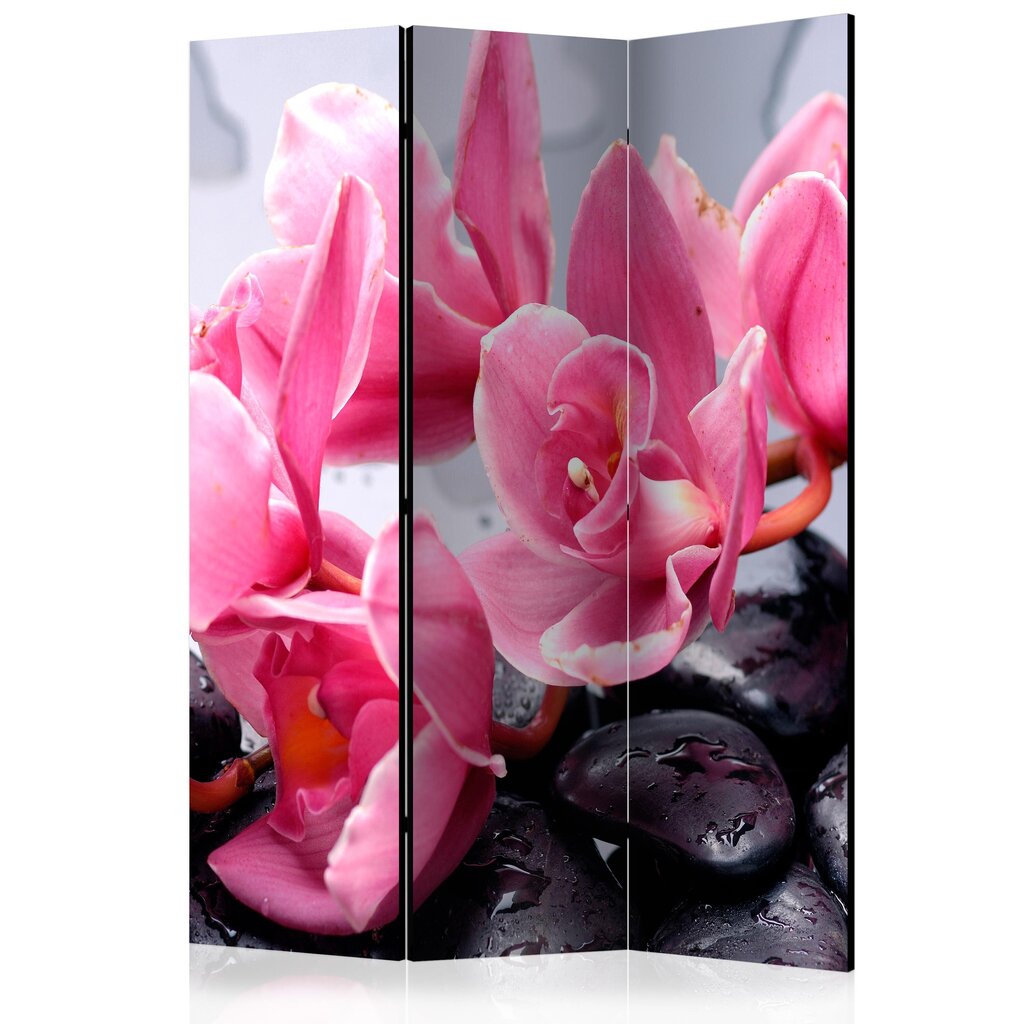 Ruumijaotur - Orchid flowers with zen stones [Room Dividers] hind ja info | Sirmid ja vaheseinad | hansapost.ee