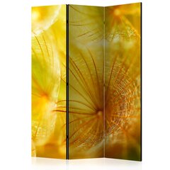 Ruumijaotur - Soft dandelion flower [Room Dividers] hind ja info | Sirmid ja vaheseinad | hansapost.ee