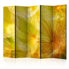 Ruumijaotur - Soft dandelion flower II [Room Dividers] hind ja info | Sirmid ja vaheseinad | hansapost.ee