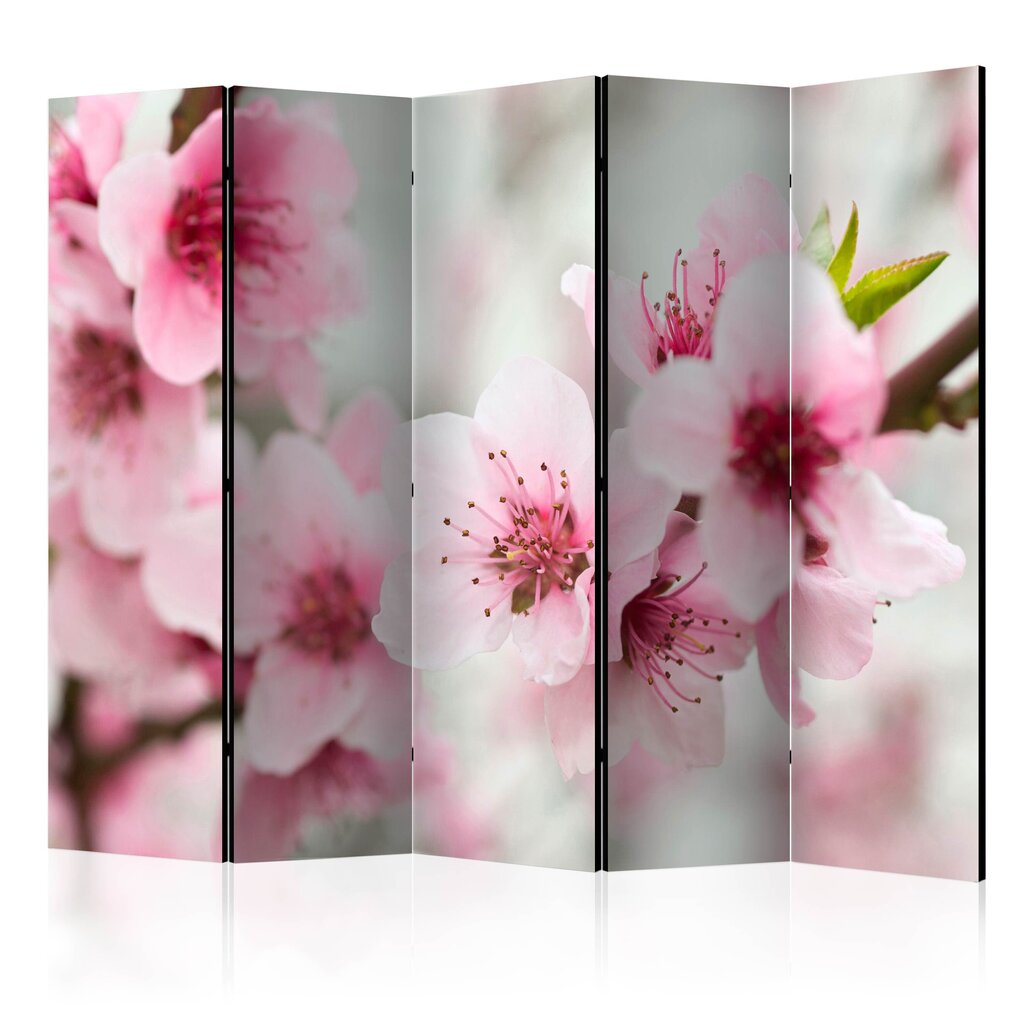 Ruumijaotur - Spring, blooming tree - pink flowers II [Room Dividers] hind ja info | Sirmid ja vaheseinad | hansapost.ee