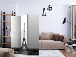 Ruumijaotur - Paris: black and white photography [Room Dividers] hind ja info | Sirmid ja vaheseinad | hansapost.ee