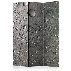 Ruumijaotur - Steel surface with water drops [Room Dividers] hind ja info | Sirmid ja vaheseinad | hansapost.ee