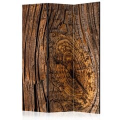 Ruumijaotur - Old Tree [Room Dividers] hind ja info | Sirmid ja vaheseinad | hansapost.ee