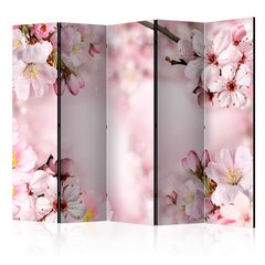 Ruumijaotur - Spring Cherry Blossom II [Room Dividers] hind ja info | Sirmid ja vaheseinad | hansapost.ee