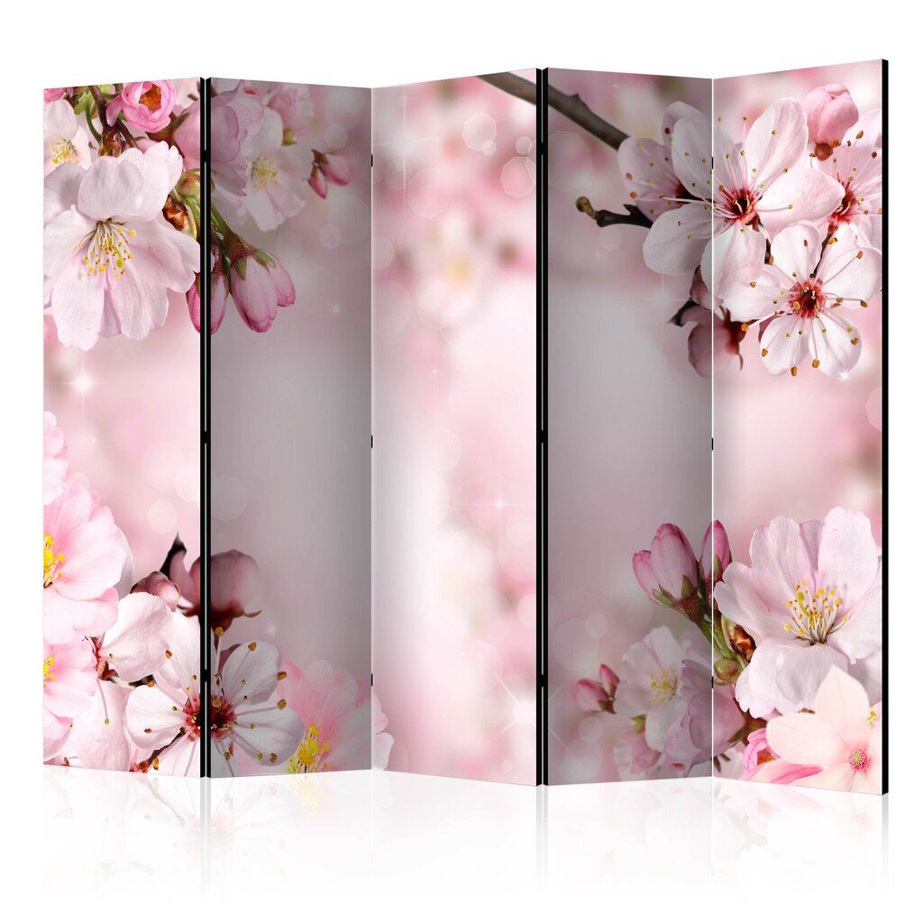 Ruumijaotur - Spring Cherry Blossom II [Room Dividers] цена и информация | Sirmid ja vaheseinad | hansapost.ee