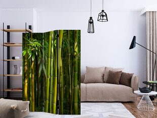 Ruumijaotur - Oriental Garden [Room Dividers] hind ja info | Sirmid ja vaheseinad | hansapost.ee