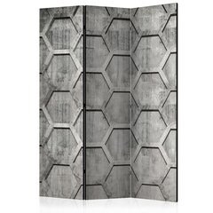 Ruumijaotur - Platinum cubes [Room Dividers] hind ja info | Sirmid ja vaheseinad | hansapost.ee