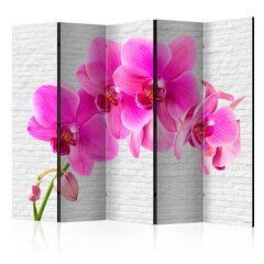 Ruumijaotur - Pink excitation II [Room Dividers] hind ja info | Sirmid ja vaheseinad | hansapost.ee