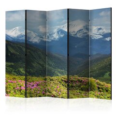 Ширма Spring mountain landscape цена и информация | Мобильные стенки | hansapost.ee