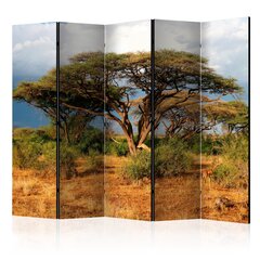 Ширма Samburu National Reserve, Kenya цена и информация | Мобильные стенки | hansapost.ee