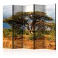 Ruumijaotur - Samburu National Reserve, Kenya II [Room Dividers] цена и информация | Sirmid ja vaheseinad | hansapost.ee