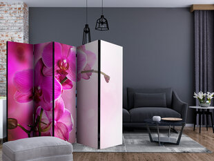 Ruumijaotur - Pink orchid II [Room Dividers] hind ja info | Sirmid ja vaheseinad | hansapost.ee