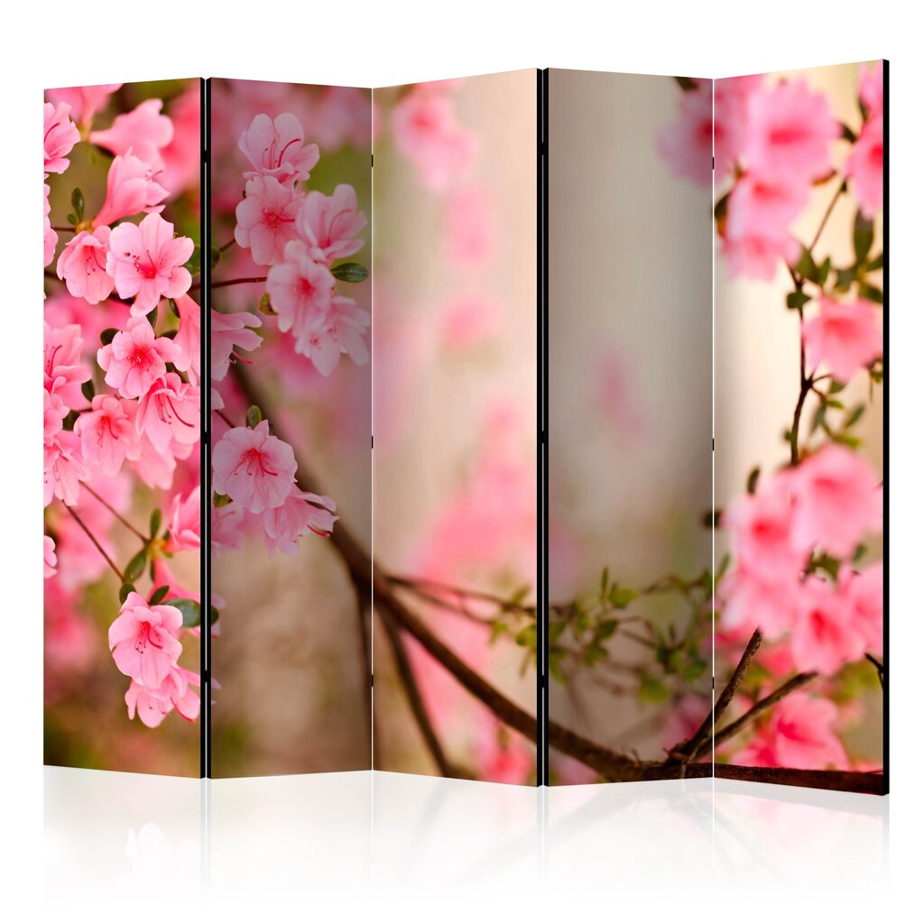 Ruumijaotur - Pink azalea II [Room Dividers] hind ja info | Sirmid ja vaheseinad | hansapost.ee