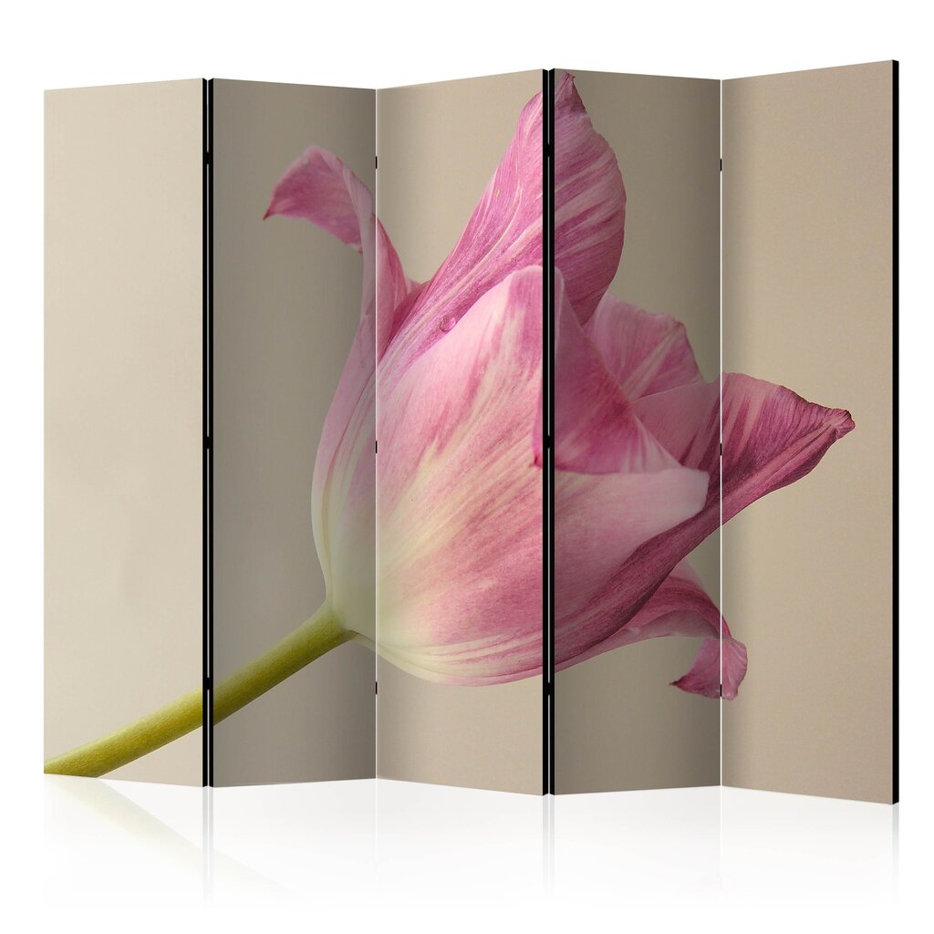 Ruumijaotur - Pink tulip II [Room Dividers] hind ja info | Sirmid ja vaheseinad | hansapost.ee