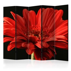 Ширма Red gerbera flower цена и информация | Мобильные стенки | hansapost.ee