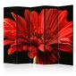 Ruumijaotur - Red gerbera flower II [Room Dividers] цена и информация | Sirmid ja vaheseinad | hansapost.ee