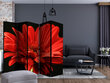 Ruumijaotur - Red gerbera flower II [Room Dividers] hind ja info | Sirmid ja vaheseinad | hansapost.ee