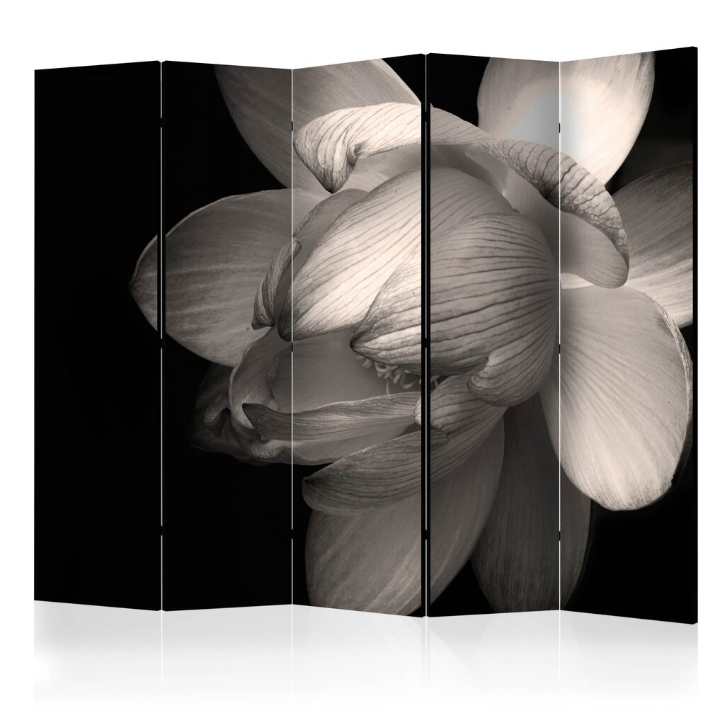 Ruumijaotur - Lotus flower II [Room Dividers] цена и информация | Sirmid ja vaheseinad | hansapost.ee