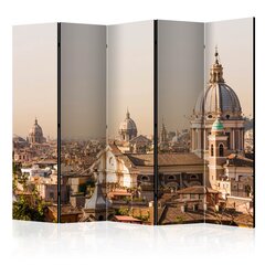 Ширма Rome bird's eye view цена и информация | Мобильные стенки | hansapost.ee