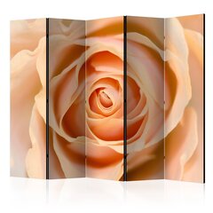 Перегородка Peach-colored rose цена и информация | Мобильные стенки | hansapost.ee