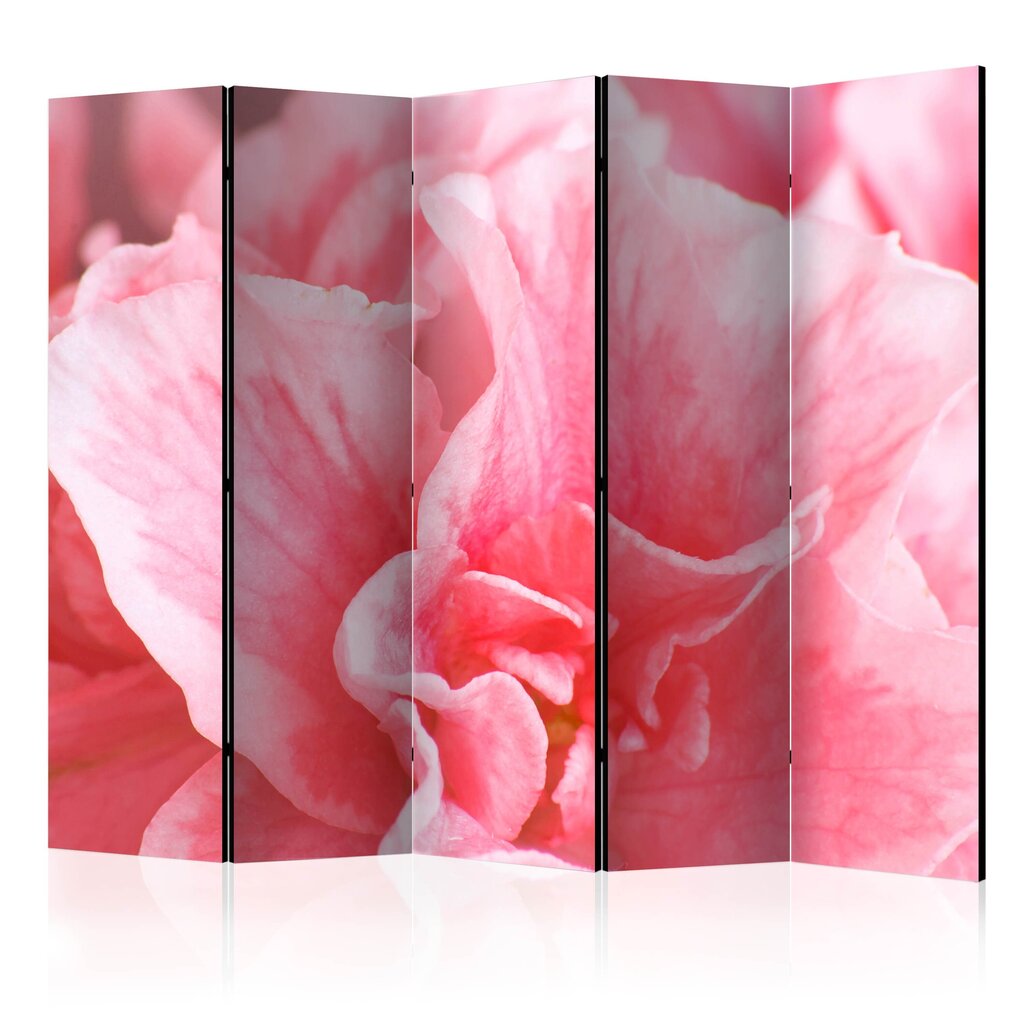 Ruumijaotur - Pink azalea flowers II [Room Dividers] цена и информация | Sirmid ja vaheseinad | hansapost.ee