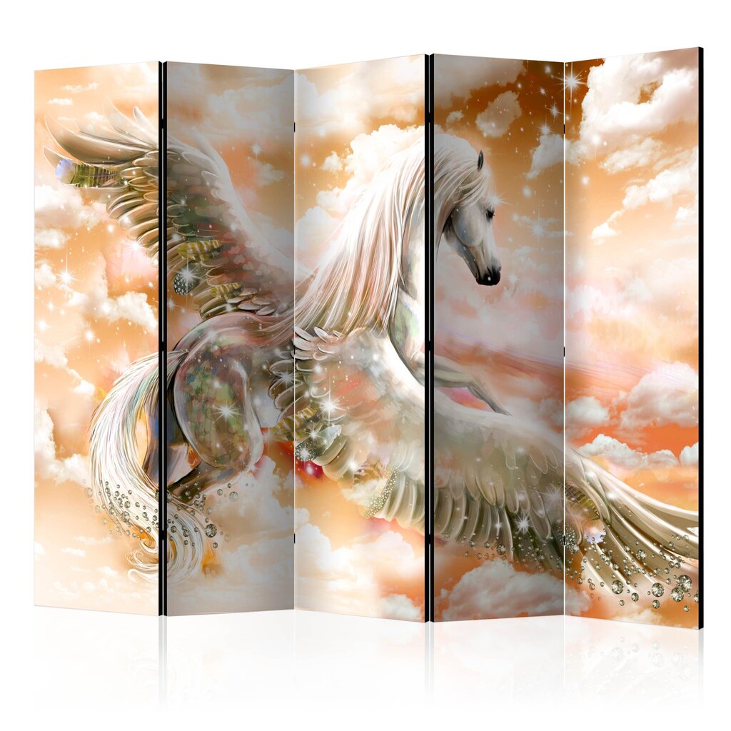 Ruumijaotur - Pegasus (Orange) II [Room Dividers] hind ja info | Sirmid ja vaheseinad | hansapost.ee