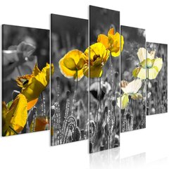 Maal - Yellow Poppies (5 Parts) Wide hind ja info | Seinapildid | hansapost.ee