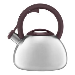 Ambition veekeetja Master Stone, 3l price and information | Teapots, coffee pots, water teapots | hansapost.ee