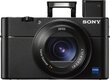 Digitaalkaamera Sony RX100 V hind ja info | Fotoaparaadid | hansapost.ee