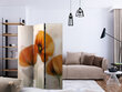 Ruumijaotur - poppies - vintage [Room Dividers] hind ja info | Sirmid ja vaheseinad | hansapost.ee