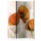 Ruumijaotur - poppies - vintage [Room Dividers] hind ja info | Sirmid ja vaheseinad | hansapost.ee