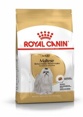 Royal Canin täiskasvanud Malta piisonid Maltese Adult, 1,5kg hind ja info | Koerte kuivtoit ja krõbinad | hansapost.ee