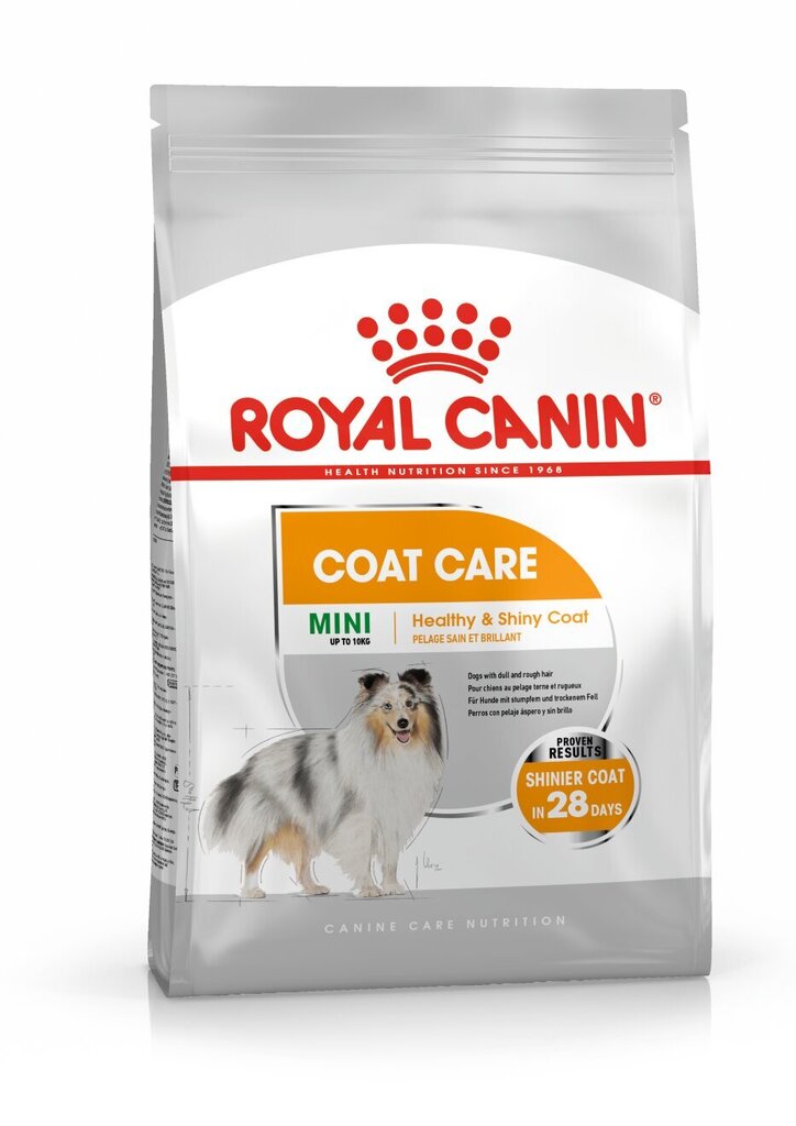 Royal Canin terve karusnaha ja naha jaoks Mini Coat Care, 1 kg цена и информация | Koerte kuivtoit ja krõbinad | hansapost.ee