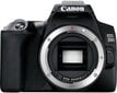 Canon EOS 250D kere, must hind ja info | Fotoaparaadid | hansapost.ee