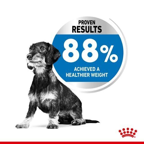Royal Canin koerad, kes kipuvad kaalus juurde võtma Mini Light Weight Care, 3 kg hind ja info | Koerte kuivtoit ja krõbinad | hansapost.ee