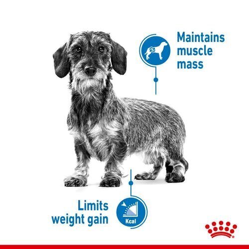 Royal Canin koerad, kes kipuvad kaalus juurde võtma Mini Light Weight Care, 3 kg цена и информация | Koerte kuivtoit ja krõbinad | hansapost.ee