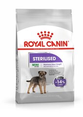 Royal Canin для стерилизованных собак Mini Sterilised, 1 kg цена и информация | Сухой корм для собак | hansapost.ee