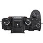 Täiskaader hübriidkaamera Sony A9 II body (Black)(ILCE-9M2) hind ja info | Fotoaparaadid | hansapost.ee