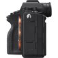 Täiskaader hübriidkaamera Sony A9 II body (Black)(ILCE-9M2) hind ja info | Fotoaparaadid | hansapost.ee